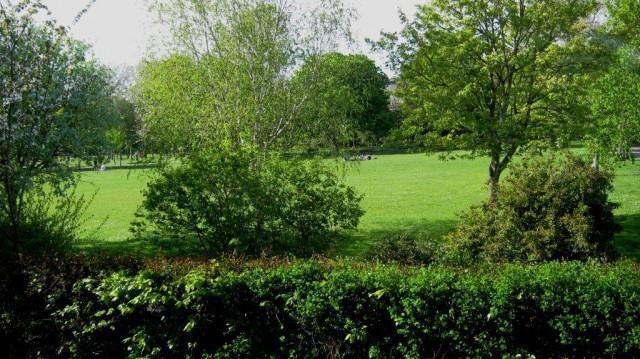 Woodbine City Rooms Exeter Ngoại thất bức ảnh